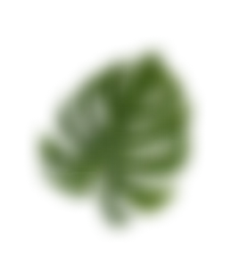 leaf-3